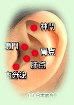 耳のつぼ